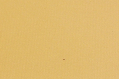 303