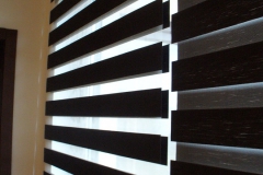 zebracsíkos sávroló