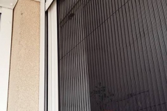 Miniplisze-szunyoghalo