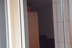 szunyoghalo_galeria13