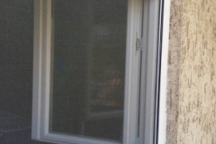 szunyoghalo_galeria14