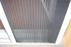 szunyoghalo_galeria15