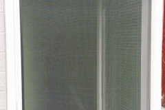 szunyoghalo_galeria9